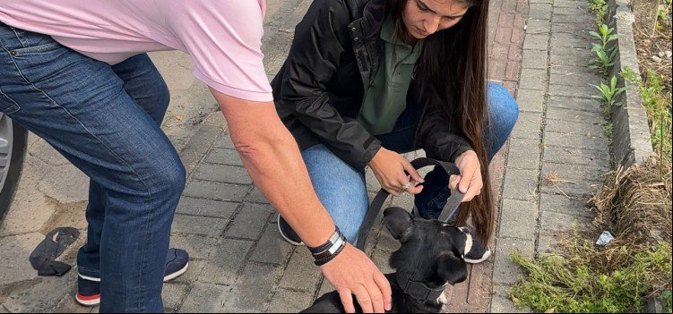 Almir Vieira Intermedia Atendimento na Causa Animal