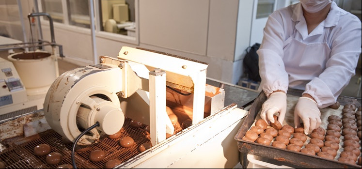 Os destinos saborosos do chocolate brasileiro