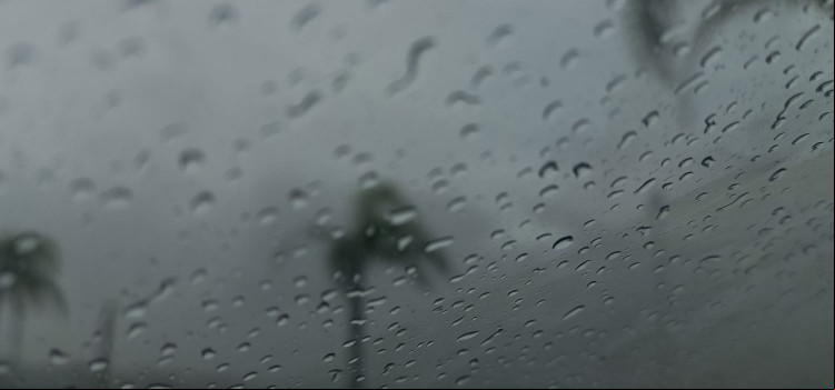 SC registra primeira ocorrência de chuva preta