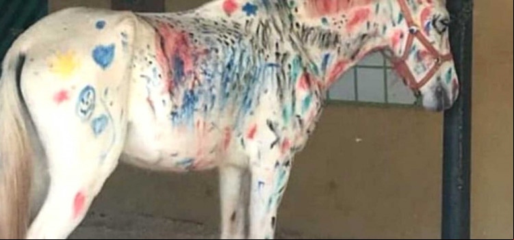 O cavalo pintado e a deseducação das instituições de ensino