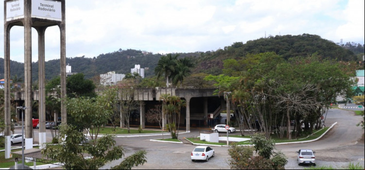 Colmeia interdita estacionamento da rodoviária