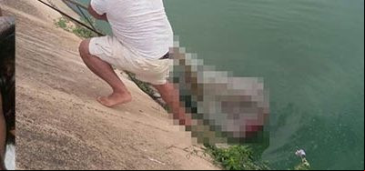 Cadáver sem cabeça é encontrado na crackolândia de Blumenau