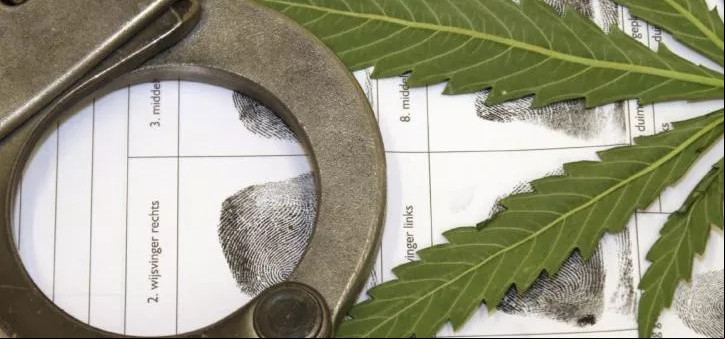 Câmara institui comissão para atualizar Lei de Drogas