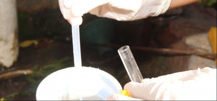 Blumenau entra no plano de combate à dengue