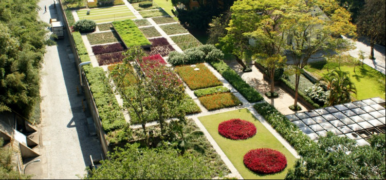 Lei do Telhado Verde fomenta uso de coberturas vegetais nas edificações
