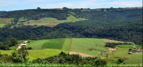 Imóveis rurais de SC têm até outubro para regular terras em fronteiras