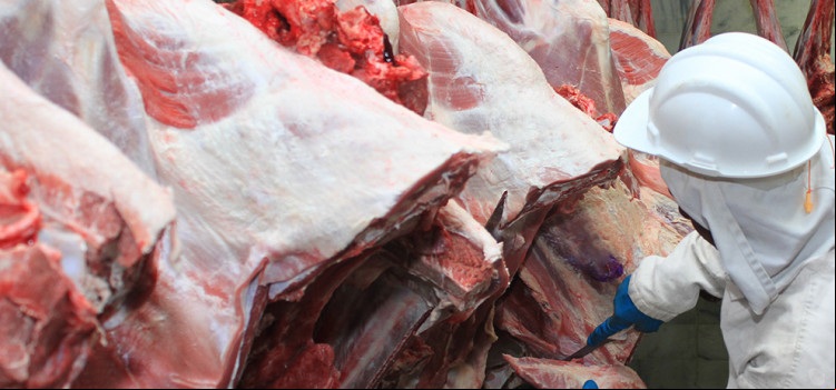 Câmara aprova reforma tributária e zera imposto da carne