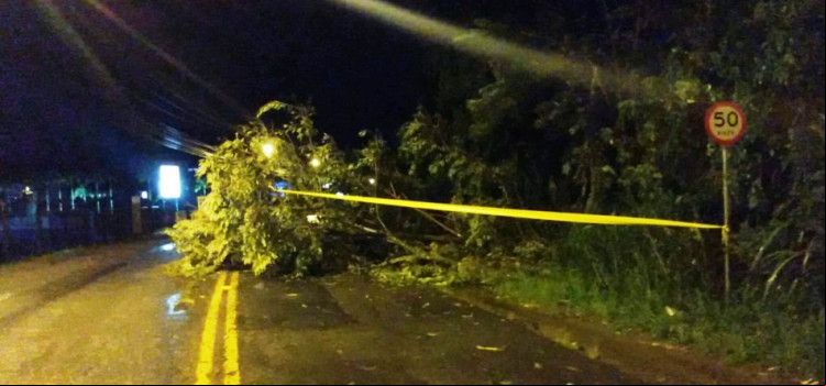 Defesa Civil atende 16 ocorrências em Blumenau